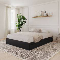 a bed sitting on top of a wooden floor next to a plant in a room