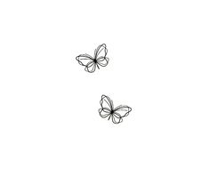 two butterflies flying side by side on a white background