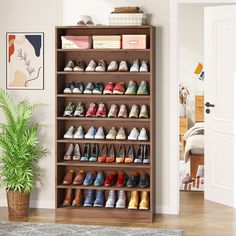 a wooden shoe rack filled with lots of pairs of shoes next to a potted plant