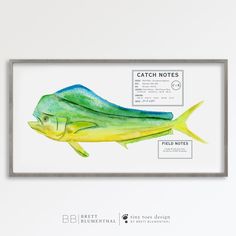 a fish is shown in a frame with the caption catch notes on it's side