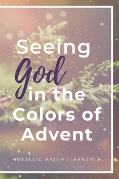 the words seeing god in the colors of advent on a blurry background with pine branches