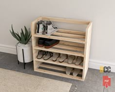 there is a shoe rack with shoes on it next to a potted plant and rug