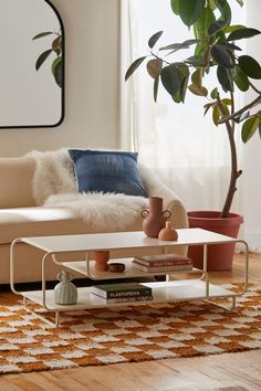 a living room with a couch, coffee table and potted plant