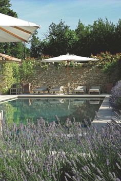 an outdoor swimming pool surrounded by lavender flowers and umbrellas in the sun, with stone walls behind it