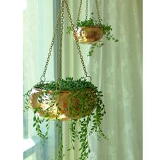 two hanging planters filled with green plants next to a window