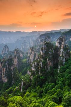 Wulingyuan, Zhangjiajie National Forest Park, China, World Heritage, 武陵源, 張家界国家森林公園, 世界遺産, 中国 Zhangjiajie National Forest Park, Gap Year Travel, Hunan China, Holiday China, Explore China, Surreal Landscape, Zhangjiajie, Visit China, Travel Japan