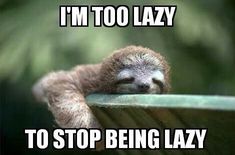 a baby slotty sleeping on top of a wooden bench with caption that reads, i'm too lazy to stop being lazy