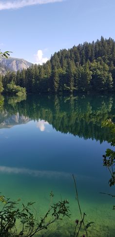 a lake surrounded by trees and mountains in the background