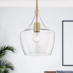 a clear glass light fixture hanging from a ceiling in a room with white walls and plants