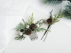 pine cones and needles are on top of a piece of paper