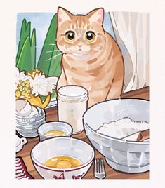 a cat is sitting at a table with food and drinks in front of it,