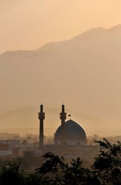 two minalis in front of a mountain range with fog on the sky and trees