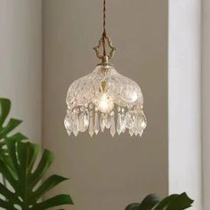 a chandelier hanging from a ceiling in a room with a potted plant