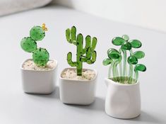 three small cactus plants in white ceramic pots