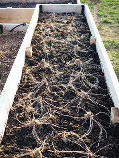 the garden is ready to be planted and put into the ground with some roots in it