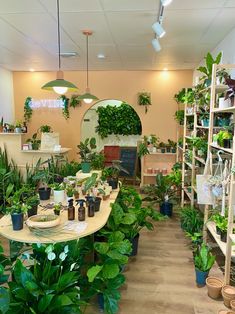 a room filled with lots of potted plants and greenery on shelves next to each other