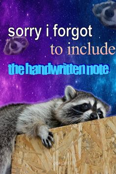 a raccoon sitting on top of a piece of wood with the words sorry i forgot to include the handwritten note