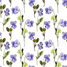 seamless watercolor pattern with blue flowers and green leaves on white background stock photo