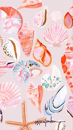 an image of seashells and starfish on a pink background