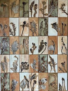 an image of dried flowers on tile wallpapers in different colors and sizes,