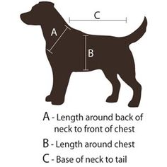 a black dog with the measurements for it's coat