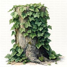 a drawing of a tree trunk with ivy growing on it's bark and leaves