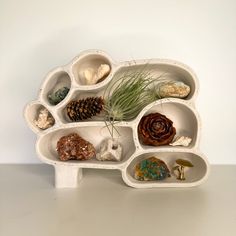 an assortment of rocks and plants are arranged in the shape of a planter