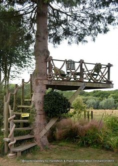 a tree house built into the side of a tree with stairs leading up to it