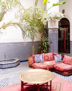 a living room filled with furniture and a potted plant