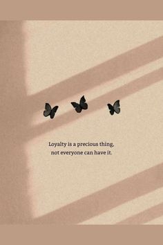 three butterflies sitting on top of a wall next to a quote that reads, lovableity is a precious thing, not everyone can have it