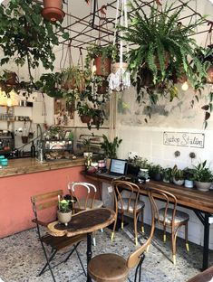 several chairs and tables in a room with plants hanging from the ceiling above them, along with potted plants