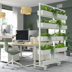 an office with green plants growing in the planter boxes on the desk and chair