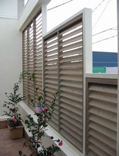 some flowers are growing on the side of a window sill in front of a building