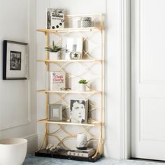 a shelf with pictures and plants on it in the corner of a room next to a door