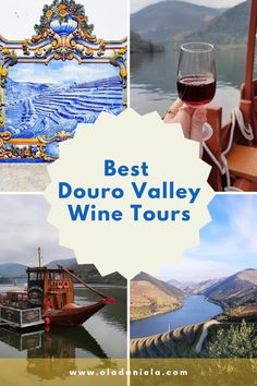 the best douro valley wine tours in europe with text overlay that reads best douro valley wine tours