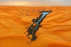 an image of a river in the middle of desert with text that reads passionate curious oasis in the middle of libran desert