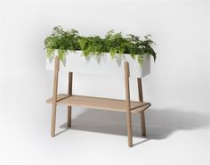 a white planter sitting on top of a wooden stand with plants growing out of it