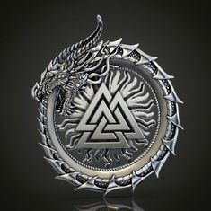 a silver and black dragon emblem on a dark background with reflective light reflecting off it's side