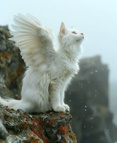 a white cat sitting on top of a rock with its wings spread out and it's eyes closed