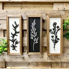 three framed art pieces with plants in them hanging on a wooden wall next to potted plants