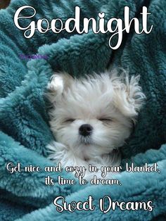 a small white dog laying on top of a blanket with the caption goodnight get nice and enjoy your blankets, it's time to dream sweet dreams