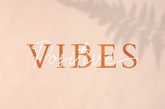 the word vibes written in orange and white on a pink background