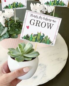 a hand holding a small potted plant on top of a white plate with two signs