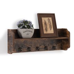 a potted plant sitting on top of a wooden shelf