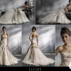 four different pictures of a woman in a wedding dress