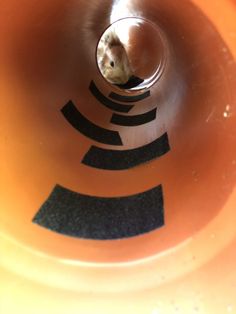 a hamster peeks its head through the hole in an orange plastic tube with black and white designs on it