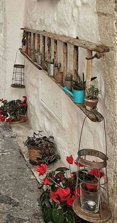 flowers and plants are lined up on the side of a building