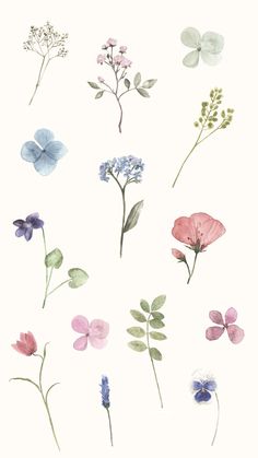 watercolor flowers and leaves on a white background