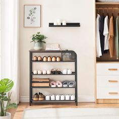 a shelf with shoes and other items on it