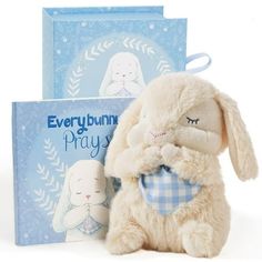 a stuffed animal sitting next to a book with bunny on it's cover and an envelope